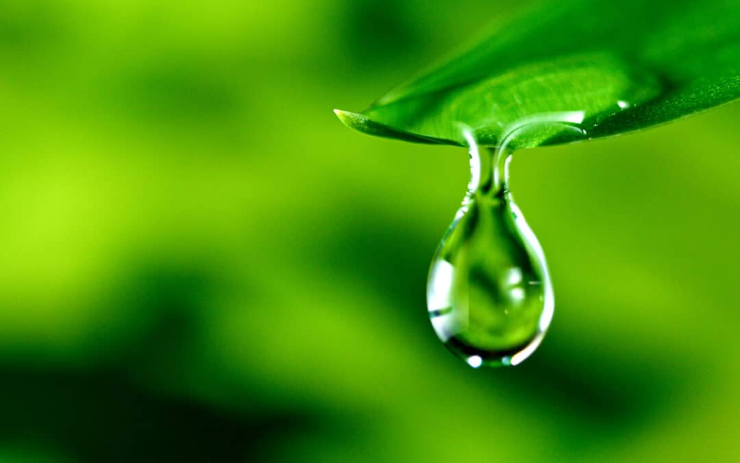 Igienizzazione-prodotti-pulizia-green-bologna