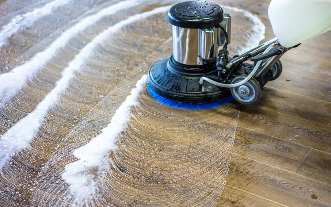 Impresa-pulizie-ecologica-bologna