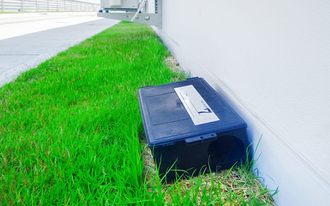 Installazione-trappole-per-derattizzazione-bologna Installazione-trappole-per-derattizzazione-bologna