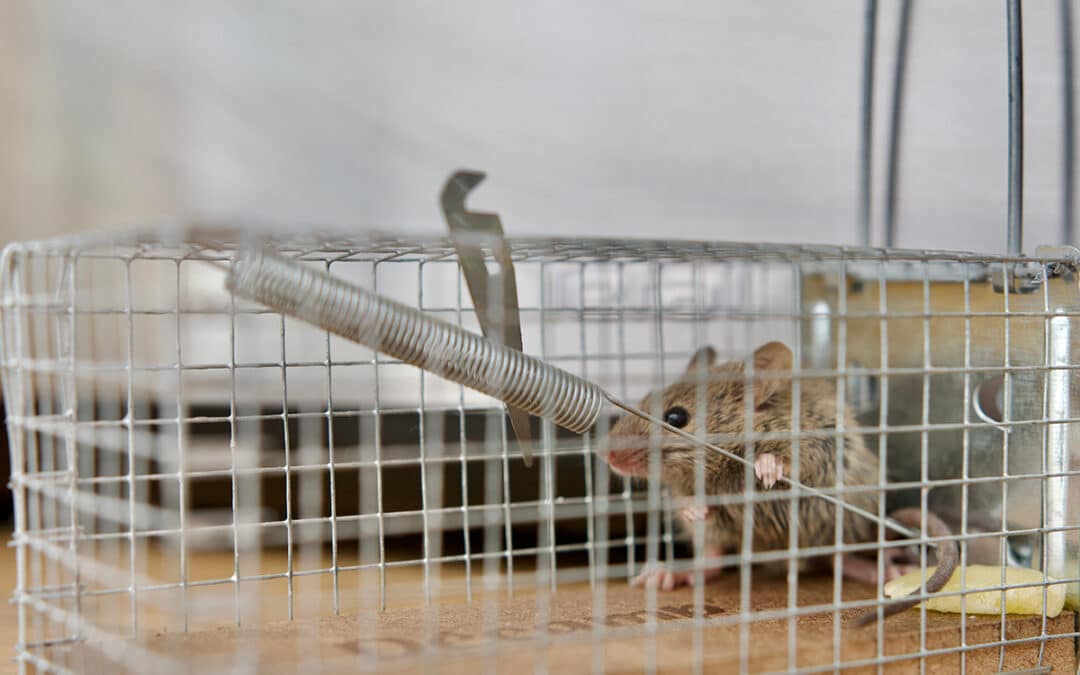 Risultati-sempre-professionali-soddisfacenti Risultati-sempre-professionali-soddisfacenti